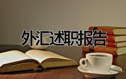 外匯述職報告 外匯工作總結 (15篇）