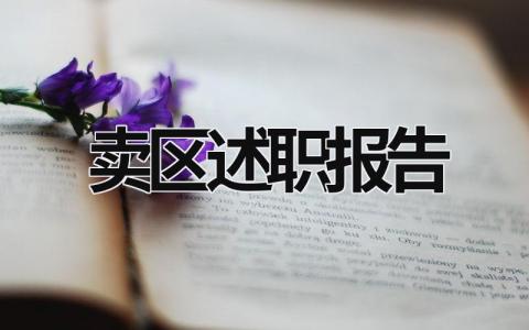 賣區述職報告 述職報告2023年最新銷售 (17篇）