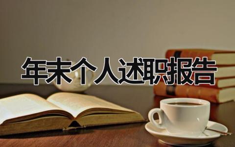 年末個人述職報告 年末個人述職報告范文 (17篇）