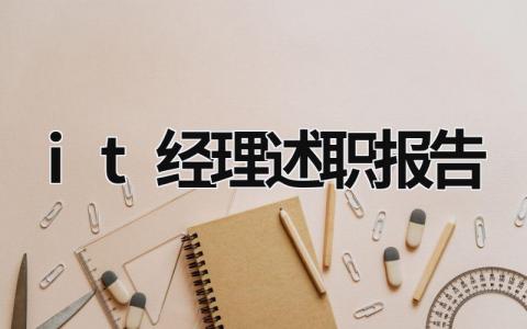 it經(jīng)理述職報(bào)告 it技術(shù)經(jīng)理述職 (18篇）