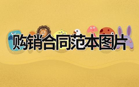 購銷合同范本圖片