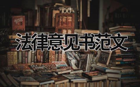 法律意見書范文