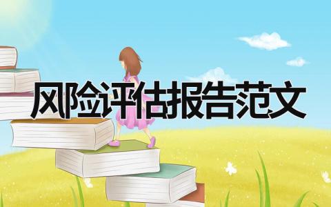 風(fēng)險評估報告范文