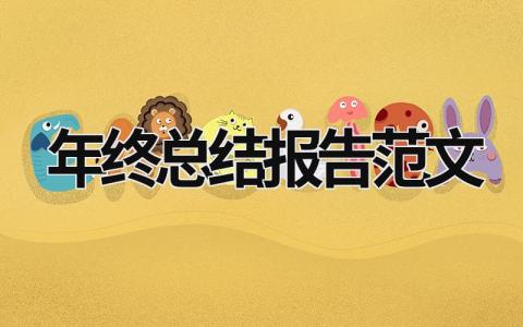 年終總結報告范文