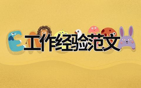 工作經驗范文