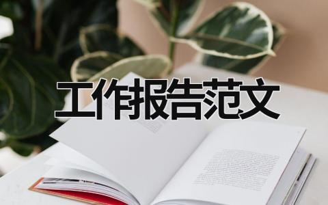 工作報告范文