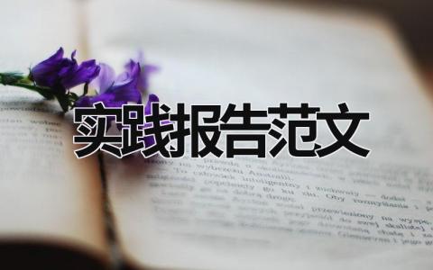 實(shí)踐報(bào)告范文