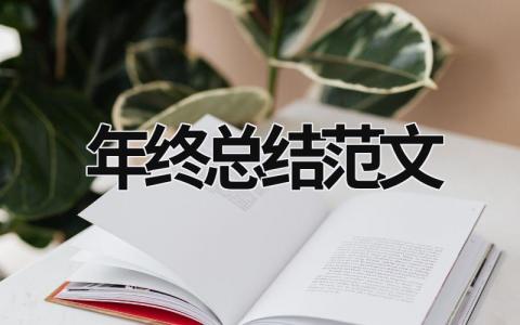 年終總結范文