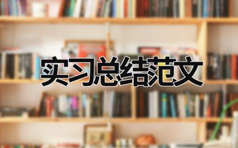 實習總結范文