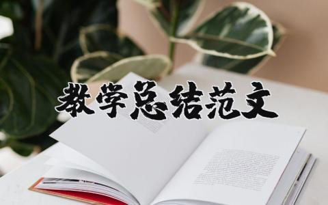 教學總結范文 教學總結范文500字 19篇