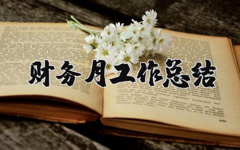 財務月工作總結 財務月工作總結和下月計劃怎么寫 14篇