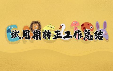 試用期轉正工作總結 試用期轉正工作總結100字 16篇