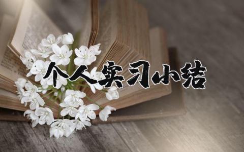 個人實習小結 個人實習小結 16篇