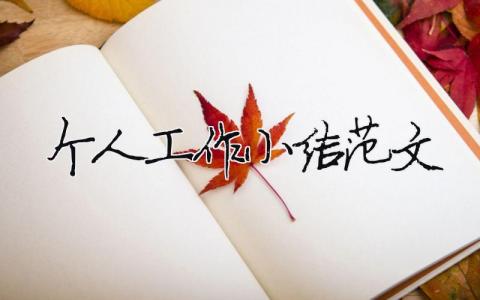 個人工作小結范文 個人工作總結范文2000字 19篇