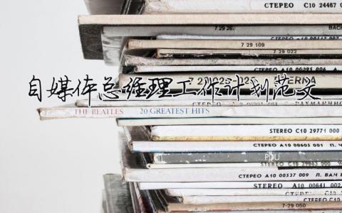 自媒體總經理工作計劃范文 精選5篇