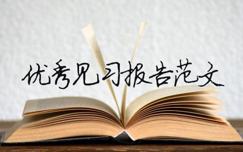 優秀見習報告范文（精選11篇）