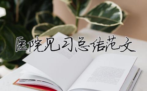 醫(yī)院見習總結(jié)范文(精選6篇)