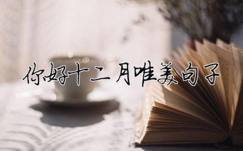 唯美句子簡短走心，你好十二月唯美句子（范文模板精品6篇）