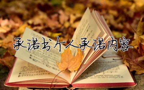 承諾書個人承諾內容 工作承諾書個人承諾內容（范文模板精品14篇）
