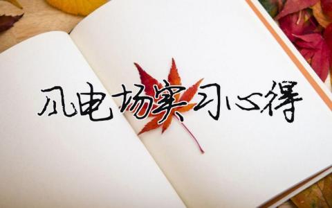 風電場實習心得 風電場實習心得（范文模板精品4篇）